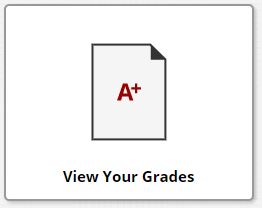 grades